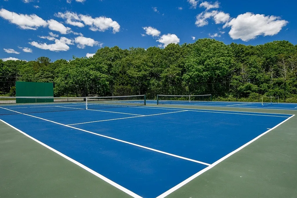 Piney Point Beach Club tennis courts — freshly painted blue hard courts framed by tall trees